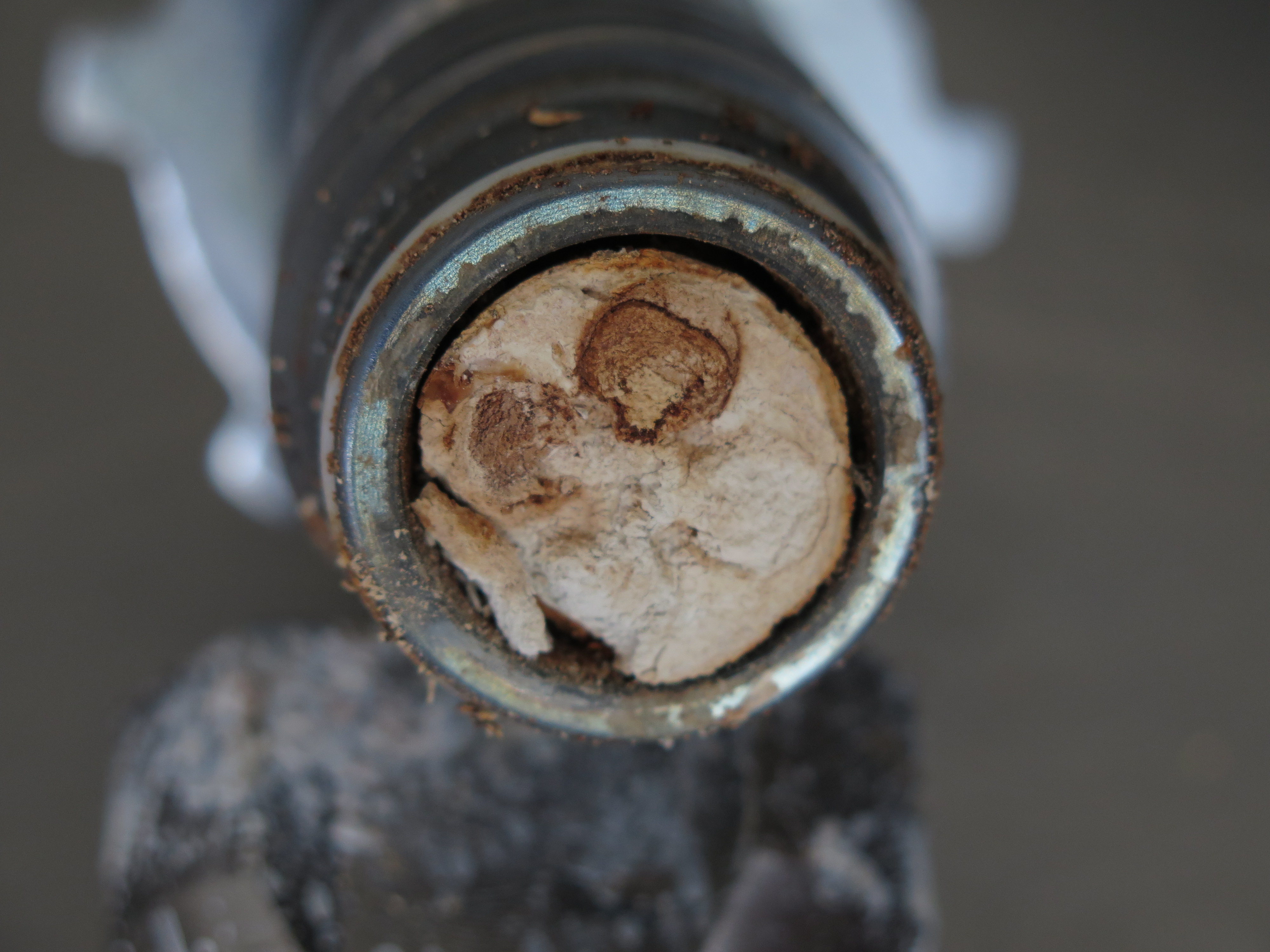 kleeblatt 3_(2)